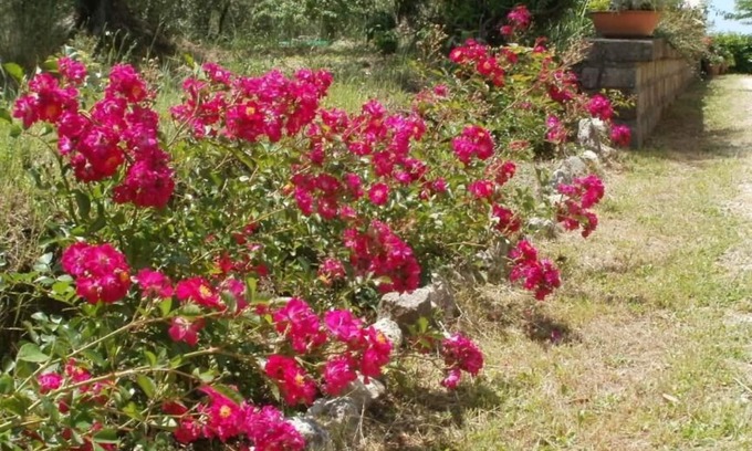 Viterbo Casa | Agriturismo Le Quattro Stagioni