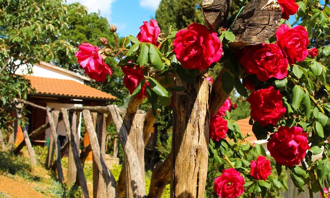 Manciano Otro | Agriturismo Millefiori