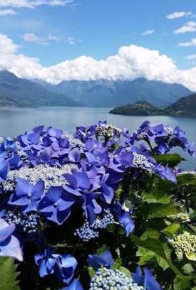 Pianello del Lario Apartamento | Agriturismo Piccolo paradiso