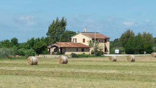 Massa Marittima Casa | Agriturismo Podere La Cascata