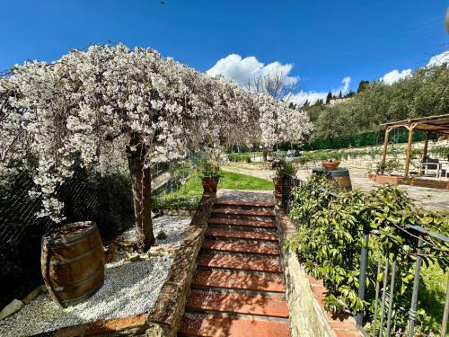 Pontassieve Casa | Agriturismo Tassinaia
