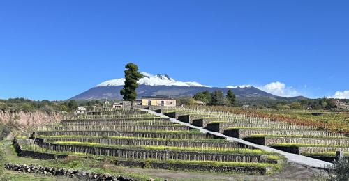Santa Maria di Licodia Cama Y Desayuno | Agriturismo Travaglianti Alloggio Etna