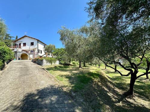 Sestri Levante Cama Y Desayuno | Agriturismo Uliveto Bartolomeo