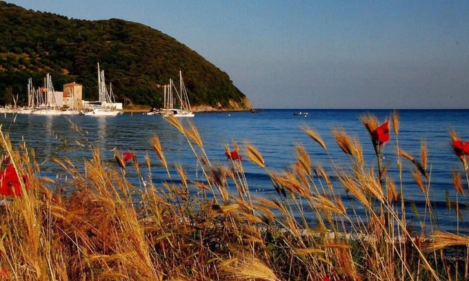Campiglia Marittima Otro | Agriturismo Villa Toscana
