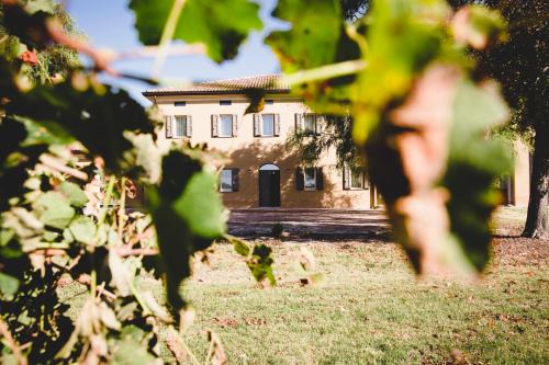 Fabbrico Casa | Agriturismo Vitae