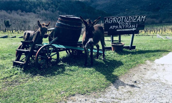 Brkac Apartamento | Agroturizam Toni