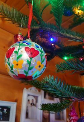 Dobiegniew Apartamento | Agroturystyka Dzika Łąka apartament
