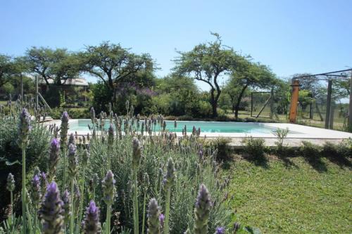 Chajarí Casa | "AGUAPÉ" Alojamiento rural con PILETA