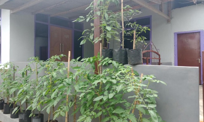 Kecamatan Pringgasela Casa | Ahim Homestay