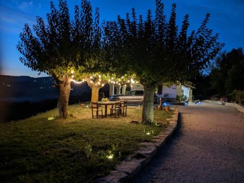 Todi Cama Y Desayuno | Ai 4 Gelsi B&B