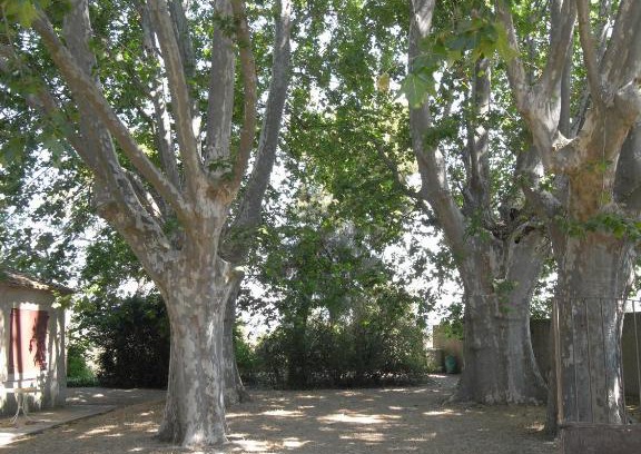 La Roque-d'Antheron Casa | aile d'un ancien mas