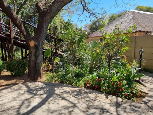 Kempton Park Cama Y Desayuno | Airport Inn Bed and Breakfast