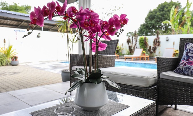 Piarco Cama Y Desayuno | Airport Inn