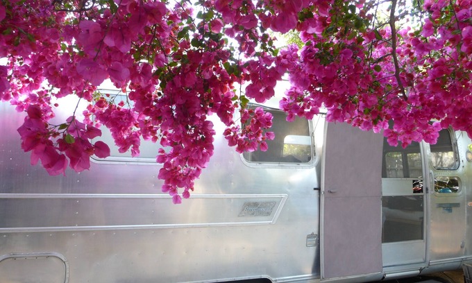 Mar Vista Casa | AIRSTREAM patio trasero privado glamping Mar Vista oasis GATED patio ducha al aire libre