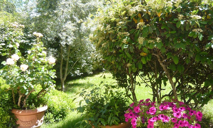 Est Apartamento | AIX EN PROVENCE. Hermoso apartamento jardín privado en residencia de lujo con piscina
