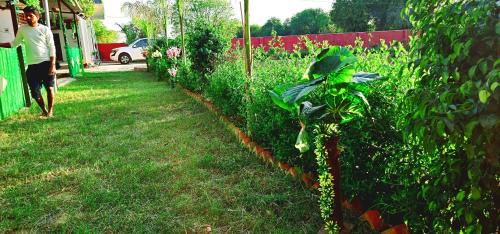 Dubbi Casa | AJ Vacational Villa Rajgarh, Alwar