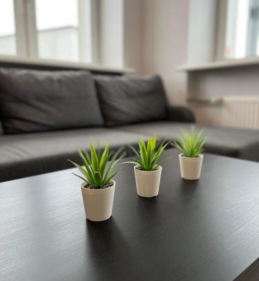 Siauliai County Apartamento | Akmene Center Apartment