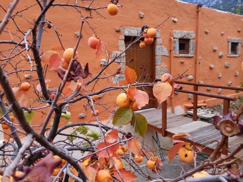 Kato Simi Apartamento | Akros Oreon Junior Suite Amori