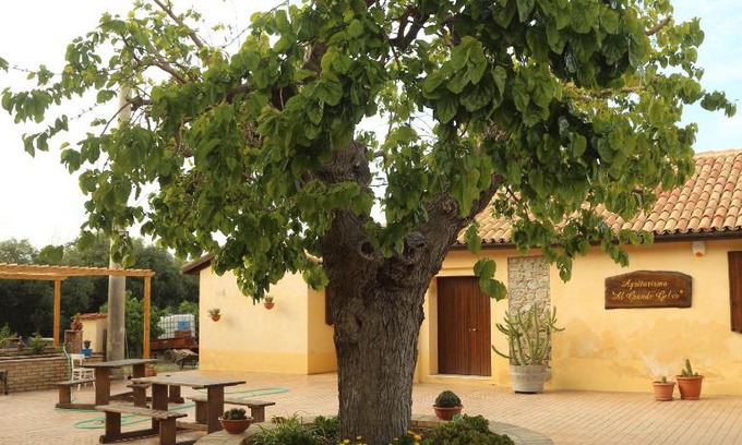Cariati Casa | Al Grande Gelso