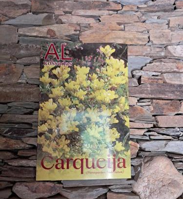 Benfeita Casa | AL Rossadas Carqueija