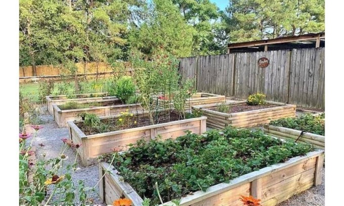 Loxley Otro | Alabama Farm Guesthouse