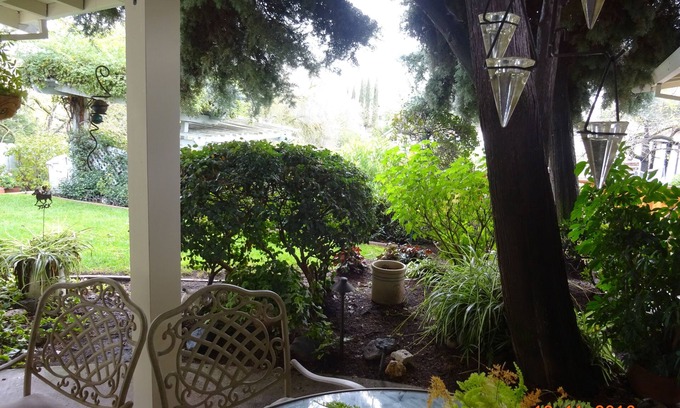 Alamo Cabaña | Alamo Guesthouse Private and Secluded. Country living next to the city life.