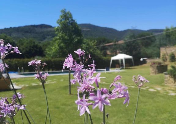 La Strada-Santa Cristina Cama Y Desayuno | Alba Morus Bed & Breakfast sentiti a casa nel cuo