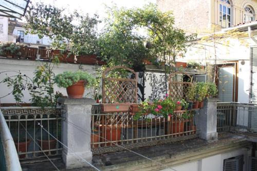 Historic Centre Hotel | Albergo Avalon