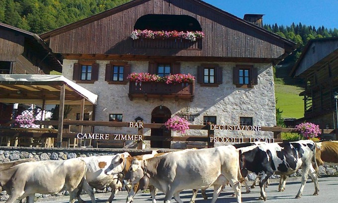 Lateis Cama Y Desayuno | Albergo Pa' Krhaizar