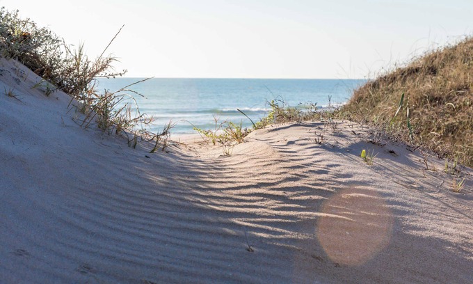Pobles del Sud Apartamento | Albufera Dreams Nature Suites
