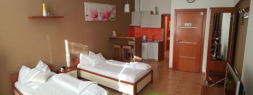 Presov Casa | Alex Pension