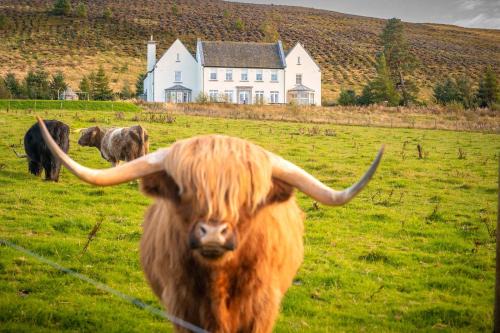 Auchterarder Casa | Alexander House 24 - Self Catering