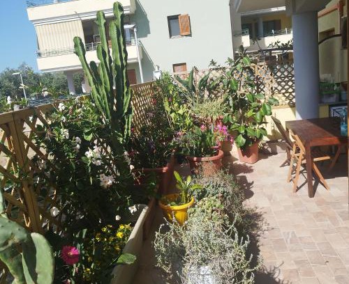 Alghero Apartamento | Alghero Lovely Flat