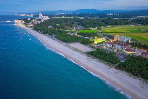 Gangneung Casa | Algoboni Hotel