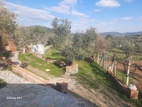 Selcuk Otro | Ali dede kamp karavan bungalow