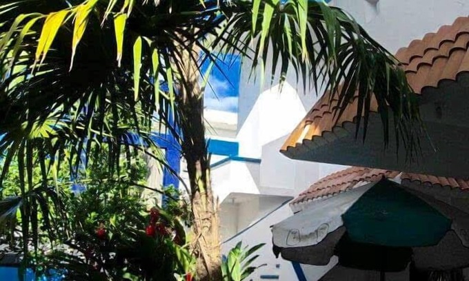 Colonia Maravilla Cama Y Desayuno | Alicia's Bed & Breakfast