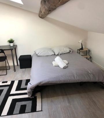 Saint-Etienne Apartamento | Allies 201 super studio refait a neuf