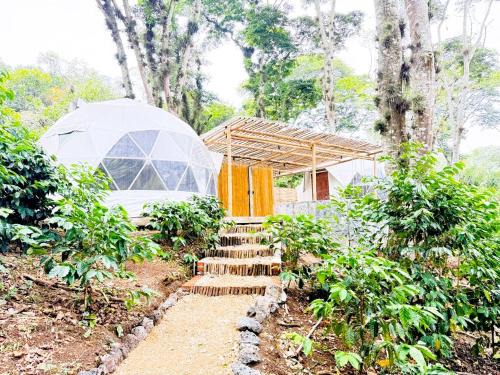 Coatepec Otro | Alma Glamping