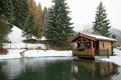 Hollersbach im Pinzgau Chalet De Esquí | Almliesl HOLL-559