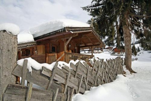 Hollersbach im Pinzgau Chalet De Esquí | Almliesl HOLL-361