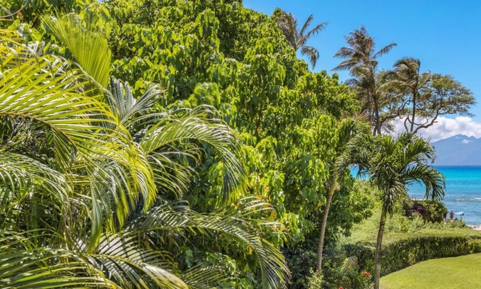 Napili Condominio | Aloha Condos, Napili Bay Resort, Condo 217, Beach View, Renovated