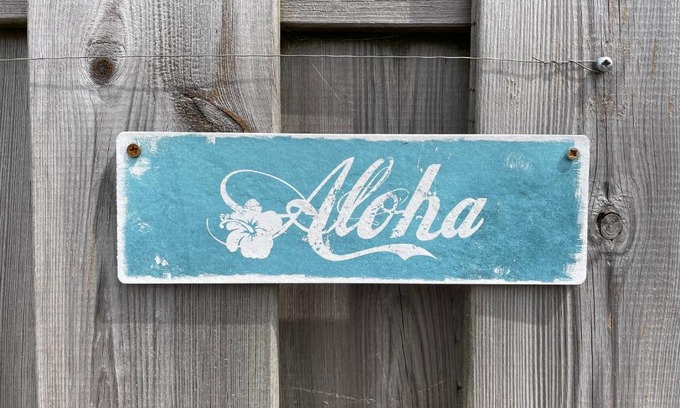 Serooskerke Apartamento | Aloha-Olmenduin