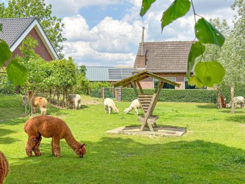 Vorstenbosch Casa | Alpacafarm Vorstenbosch