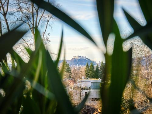 Elsbethen Apartamento | Alpenpanorama Karl und Johanna