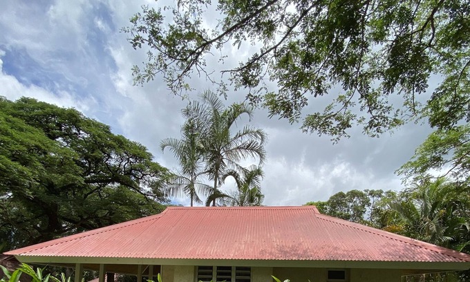 Sarramea Casa | Alpinia bungalow in Sarramea