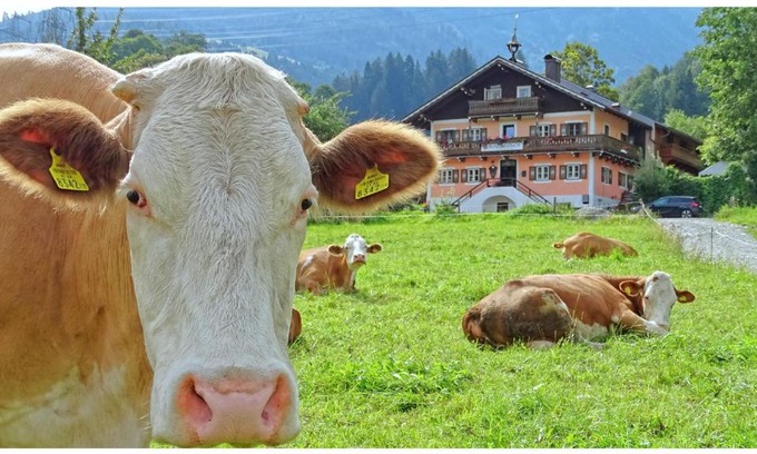 Niedernsill Complejo | AlpinResort DerBacherhof