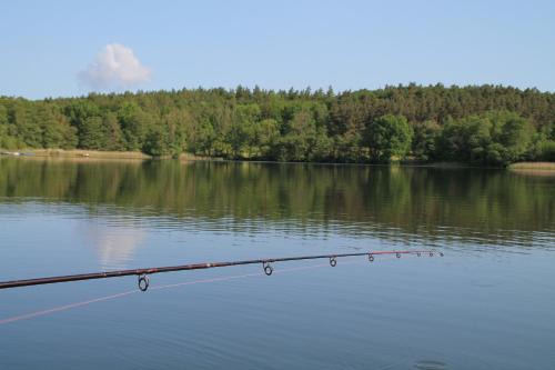 Krakow am See Apartamento | Alt Sammit