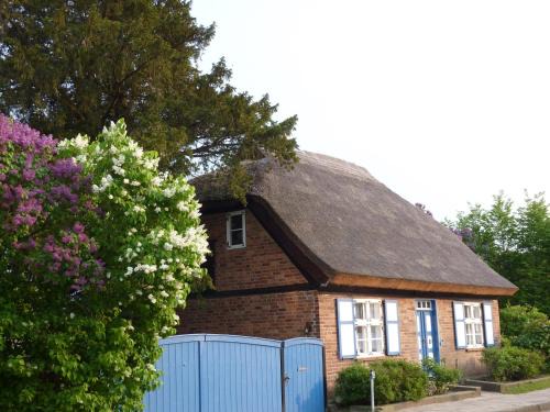 Krakvitz Casa | Alte Kate mit Bau-& Zirkuswagen im Gartenidyll in Putbus OT Kasnevitz