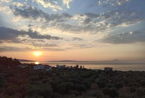 Sithonia Apartamento | Althea Two - Sithonia Chalkidiki 250m from the beach