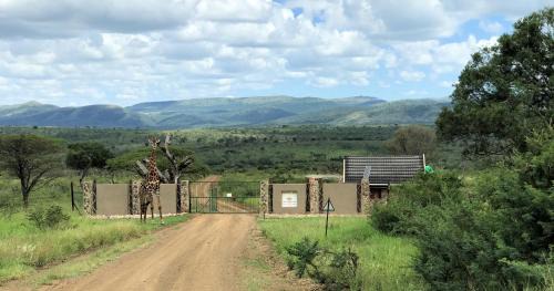 Magudu Cabina | Amakhosi Safari Lodge & Spa